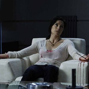 Foto 2019 - O Ano da Extinção