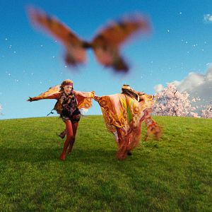 Foto Um Olhar do Paraíso