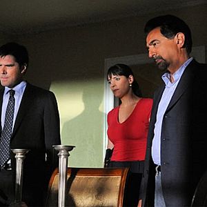 Foto Paget Brewster