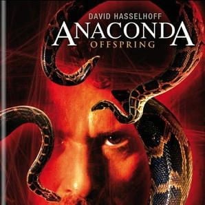 Foto Anaconda 3
