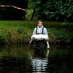 Foto Os Nomes do Amor