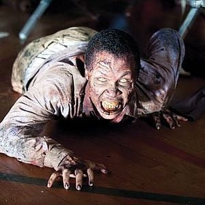 Foto The Walking Dead
