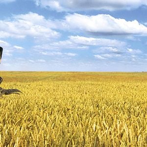 Foto Arthur - A Guerra dos Dois Mundos