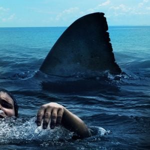 Foto Perigo em Alto Mar