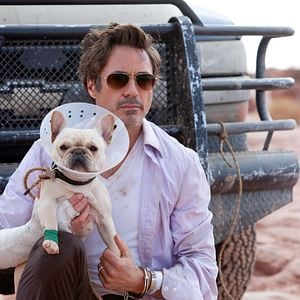 Foto Robert Downey Jr.