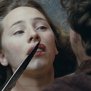 Foto No Fundo da Floresta