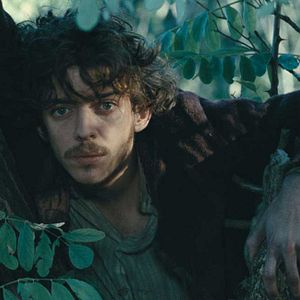 Foto No Fundo da Floresta