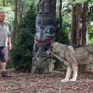 Foto O Zelador Animal