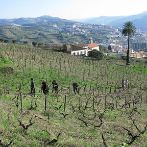 Foto O Estranho Caso de Angélica