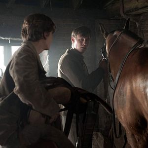 Foto Cavalo de Guerra