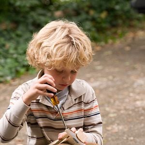 Foto Um Novo Despertar