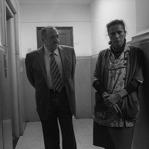 Foto As Razões Do Coração