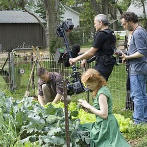 Foto A Árvore da Vida