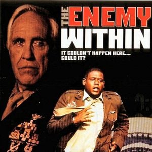 Foto Ninho de Cobras