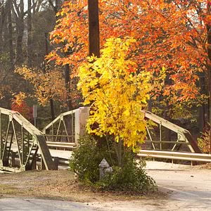 Foto A Estranha Vida de Timothy Green