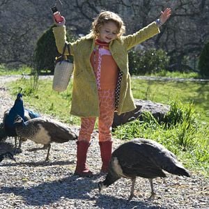 Foto Compramos um Zoológico