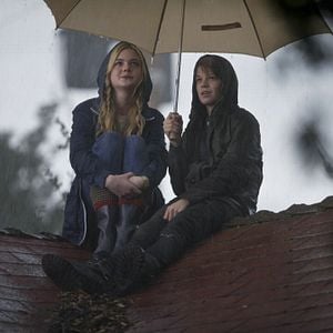 Foto Compramos um Zoológico