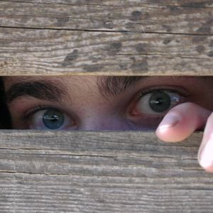 Foto Terra dos Lobos