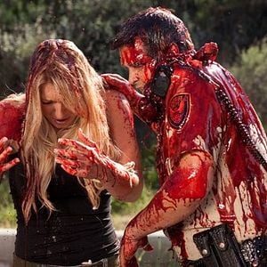 Foto Tubarões da Areia