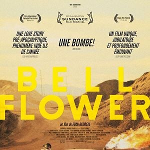 Foto Bellflower