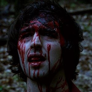 Foto Don't Go in the Woods