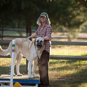 Foto Um Homem de Sorte
