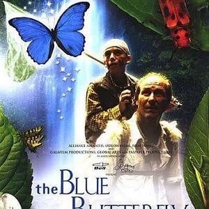 Foto A Borboleta Azul