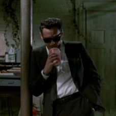 Foto Cães de Aluguel