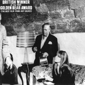 Foto Armadilha do Destino