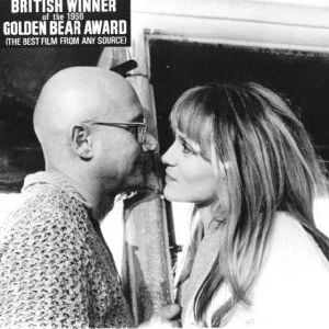 Foto Armadilha do Destino