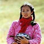 Foto O Caminho Para Casa