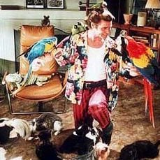 Foto Ace Ventura - Um Detetive Diferente