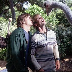 Foto Cara, Cadê o Meu Carro?