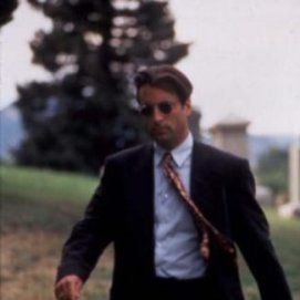 Foto Coisas Para Fazer em Denver Quando Você Está Morto