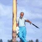 Foto Deus é Brasileiro