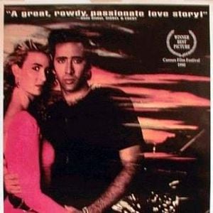 Foto Coração Selvagem