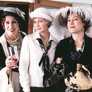 Foto O Miado do Gato