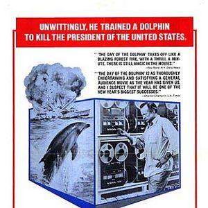 Foto O Dia do Golfinho