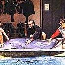 Foto O Dia do Golfinho