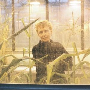 Foto Desejo e Obsessão