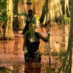 Foto A Colheita do Mal