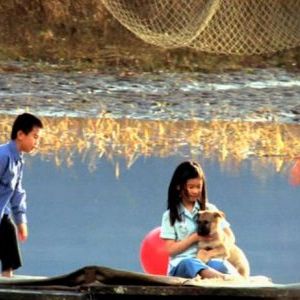 Foto Cicatrizes da Guerra