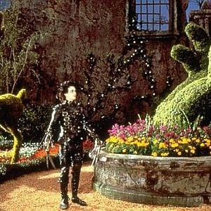 Foto Edward Mãos de Tesoura