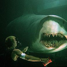 Foto Do Fundo do Mar