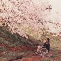 Foto Hana-bi - Fogos de Artifício