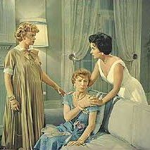 Foto Gata em Teto de Zinco Quente