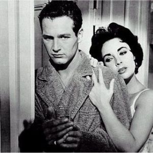 Foto Gata em Teto de Zinco Quente