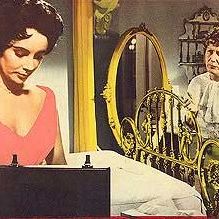 Foto Gata em Teto de Zinco Quente