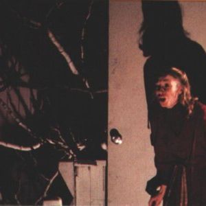 Foto Os Invasores de Corpos