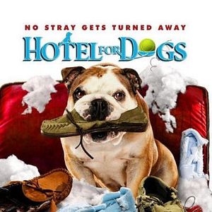 Foto Um Hotel Bom pra Cachorro